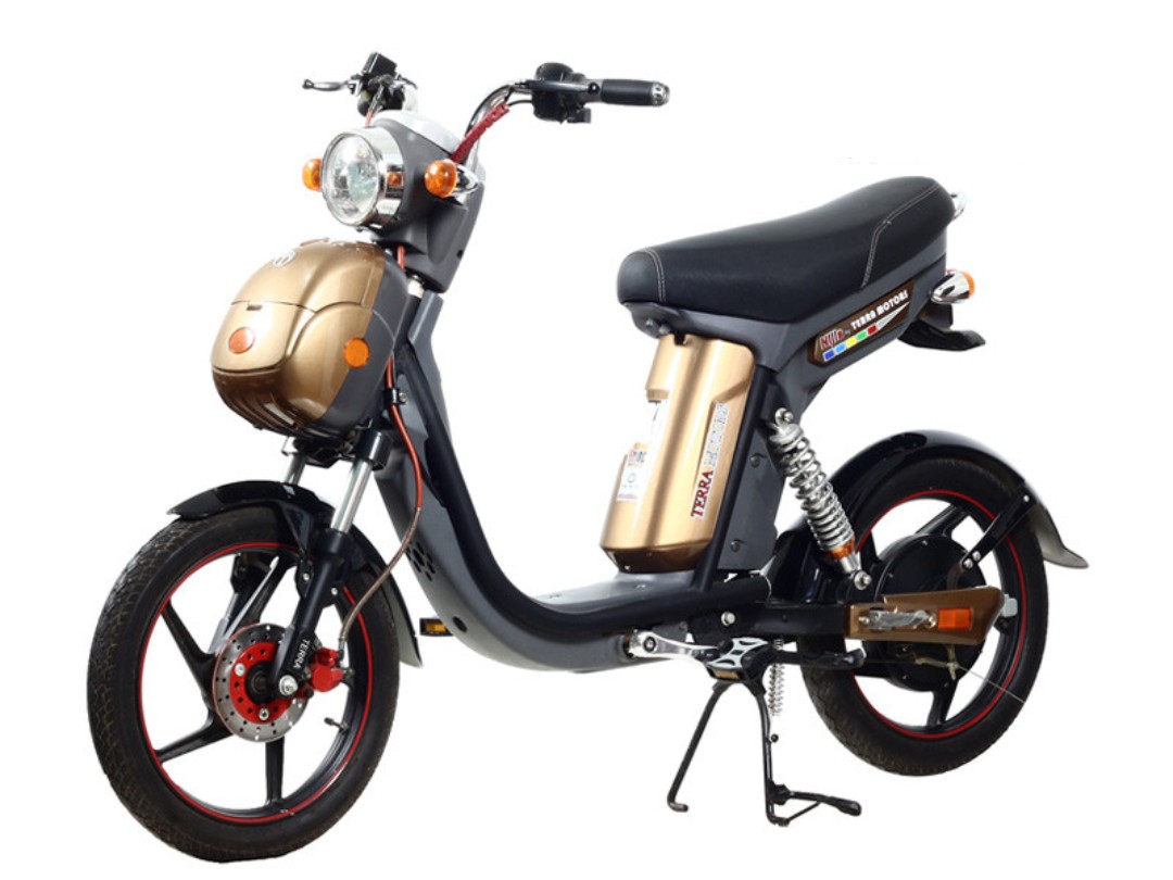 Bình Phạm Bình ắc quy xe đạp điện Nijia Terra Motors 48V - 12A chính hãng